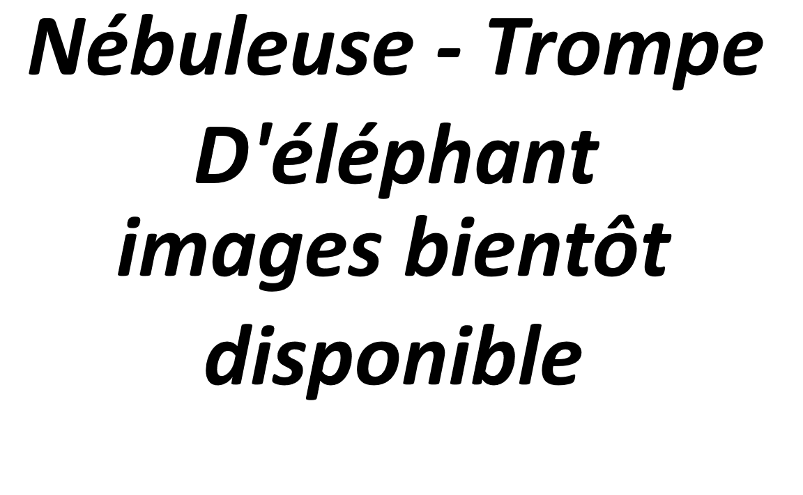 Nébuleuse - Trompe D'éléphant