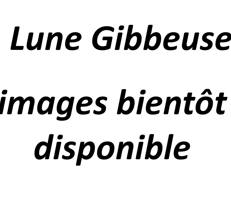 Lune Gibbeuse