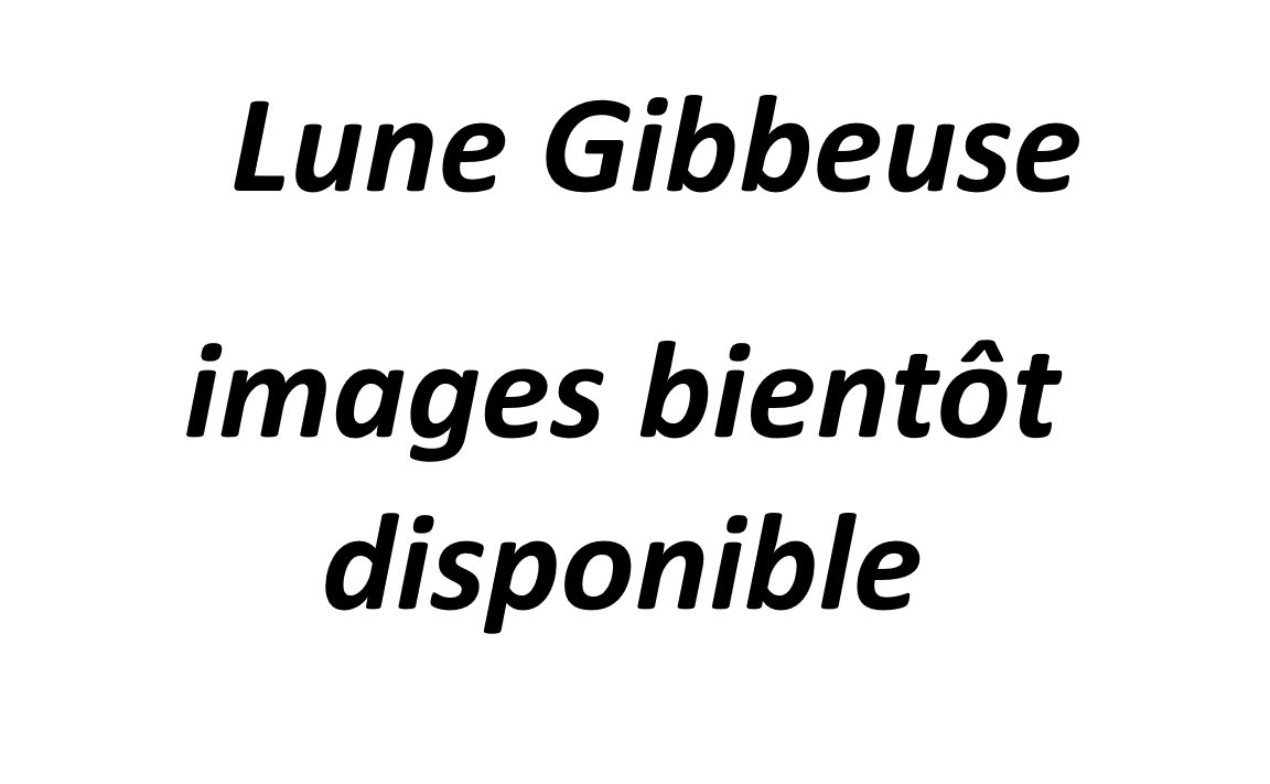 Lune Gibbeuse